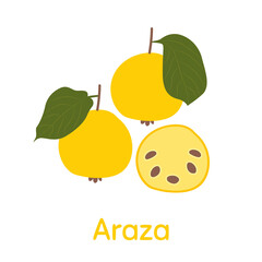 Araza Fruit. Vector Illustration EPS