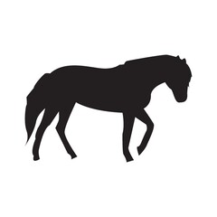 silhouette of horse
