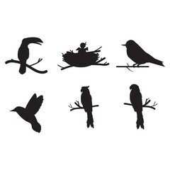 collection of birds silhouette