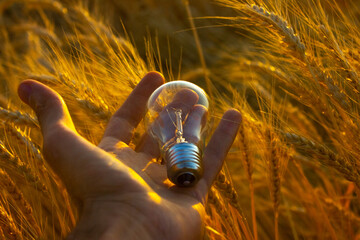 grain bread ideas to improve the harvest