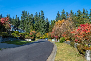 Obraz premium Autumn time in a residential district, yellow trees on the sides of the road in a beautiful neighborhood, houses, family residences in a residential area of North Vancouver, British Columbia, Canada