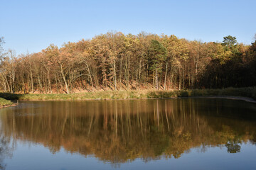 reflection of trees in the water in the autumn forest