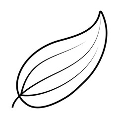 tropical leaf line style icon vector design