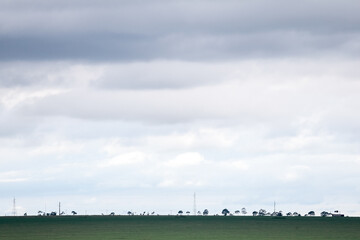 Fototapeta premium cloudy and sunny field crop landscape with beautiful sun rays and clouds shallow focus