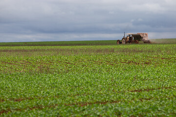 old machine truck tractor on field with a worker driving