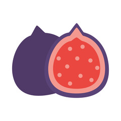 pitaya fruit icon, flat style