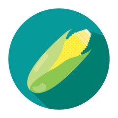 corn cob