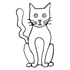 Vector isolated element, cat. Hand drawn doodle.