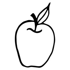 Vector isolated element, apple. Hand drawn doodle.