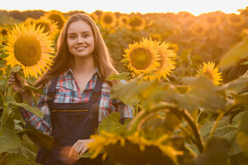Gorgeous, adorable, female farmer standing in the middle of a beautiful green and golden sunflower field during a scenic sunrise.