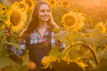 Gorgeous, young, female farmer standing in the middle of a beautiful green and golden sunflower field during a scenic sunrise.