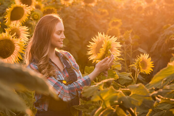 Adorable, energetic, female farmer examining sunflowers in the middle of a beautiful sunflower field, during a scenic sunrise.