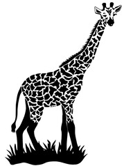 giraffte cartoon vector