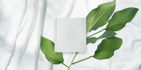 白背景の生成りの生地のアルバム冊子と植物グリーン