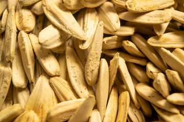 White sunflower seeds roasted with sea salt the texture of the surface. Close up.