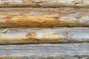Naklejka premium Background. a Fragment of a wall made of old pine logs in close-up.
