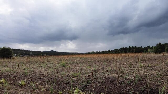 Time-lapse storm clouds pass over open in field in Northern Arizona, Williams, Arizona.