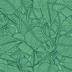 Tropical leaves, jungle leaves seamless floral pattern background