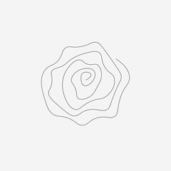Rose flower on white background design. Vector illustration
