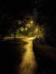 Road in the night