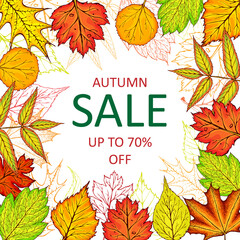 Autumn sale vector banner with fall leaves. Hand drawn fall frame illustration. Autumn leaves banner or background template. Square seasonal poster, voucher, offer, coupon, business promote template