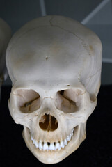 Obraz premium child skull 14-16