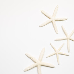Fototapeta na wymiar White starfish on white background. summer marine decoration. flat lay, top view, copy space