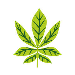 tropical leaf flat style icon vector design