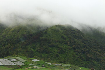 A view of the hills blanketed in fog