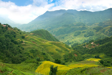 Fototapeta na wymiar Scenic landscape of rice terraces in rural Northern Vietnam near Sapa town, view of the beautiful Muong Hoa valley with the green and yellow agricultural fields in the mountains, during harvest time