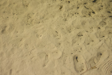 Background of the sandy bottom of the lake in shallow water