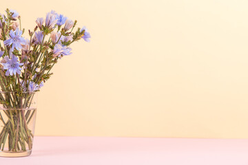 Blue flowers in a glass cup on a yellow pink background. Copy space.