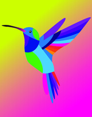 Vector illustration of beautiful colorful small bird