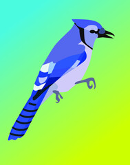 Vector illustration of  beautiful blue  bird  on the colorful background. Fashion illustration