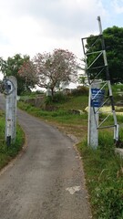 road in the countryside