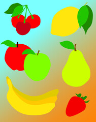 Vector illustration of  summer fruits