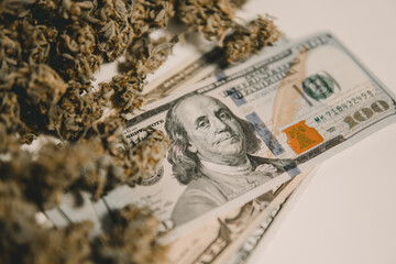 Marijuana bud and banknotes of dollars. Money weed. The pot buds. Cannabis money black market.