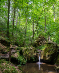 Fototapeta na wymiar Little waterfall in the Elbsandsteingebirge