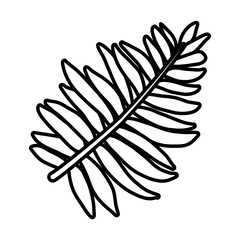 tropical fern leaf line style icon vector design