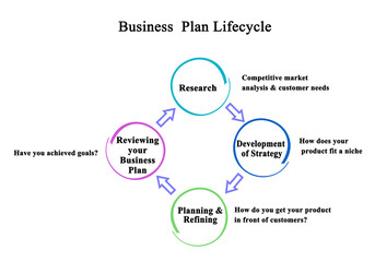 Stages inb Business  Plan Lifecycle