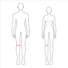 Women and men to do knee measurement fashion Illustration for size chart. 7.5 head size girl and boy for site or online shop. Human body infographic template for clothes. 