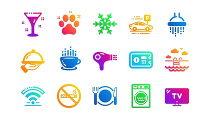 Wi-Fi, Air conditioning and Washing machine. Hotel service icons. Pets, swimming pool and hotel parking icons. Classic set. Gradient patterns. Quality signs set. Vector