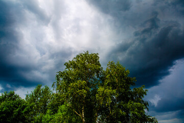 Big cloud over a tree