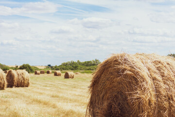 Dry hay in a round bale. Close-up with soft warm shadows. There are a lot of cumulus clouds and...