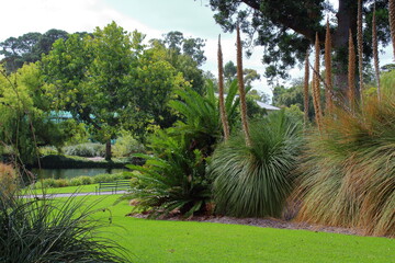 landscape in adelaide botanic garden