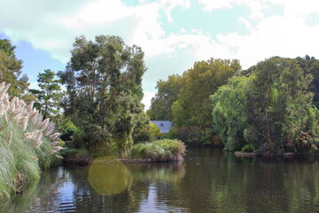 Fototapeta na wymiar lake in adelaide botanic garden
