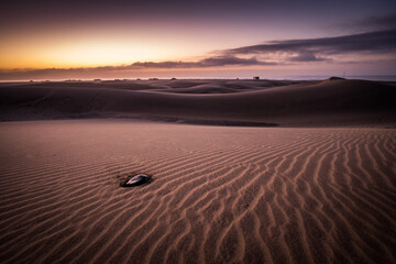 Fototapeta premium Spectacular Sunrise Sandy dunes in famous natural Maspalomas beach. Gran Canaria. Spain