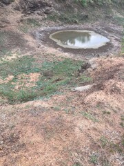 Pond
