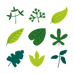 tropical leaves flat style icon set vector design