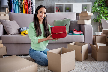 Portrait of her she beautiful cheerful professional girl sales manager operator talking on line sme...